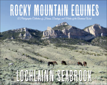 "Rocky Mountain Equines: A Photographic Collection of Horses, Donkeys, and Mules of the American West," by Lochlainn Seabrook