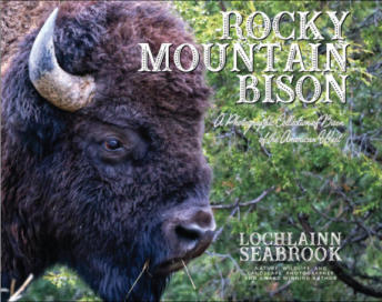 "Rocky Mountain Bison: A Photographic Collection of Bison of the American West," by Lochlainn Seabrook